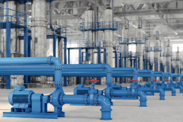 Best Local Plumber Services  in Saranap, CA